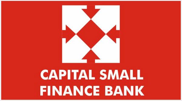 Top 10 Small Finance Banks in India [2024]