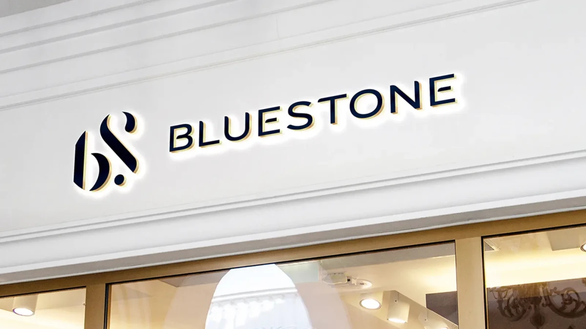 BlueStone funding, valuation, and shareholders breakdown 2023