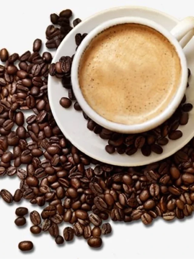 6 Biggest Coffee Producers In India – 2024