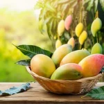 Mango Business around the world