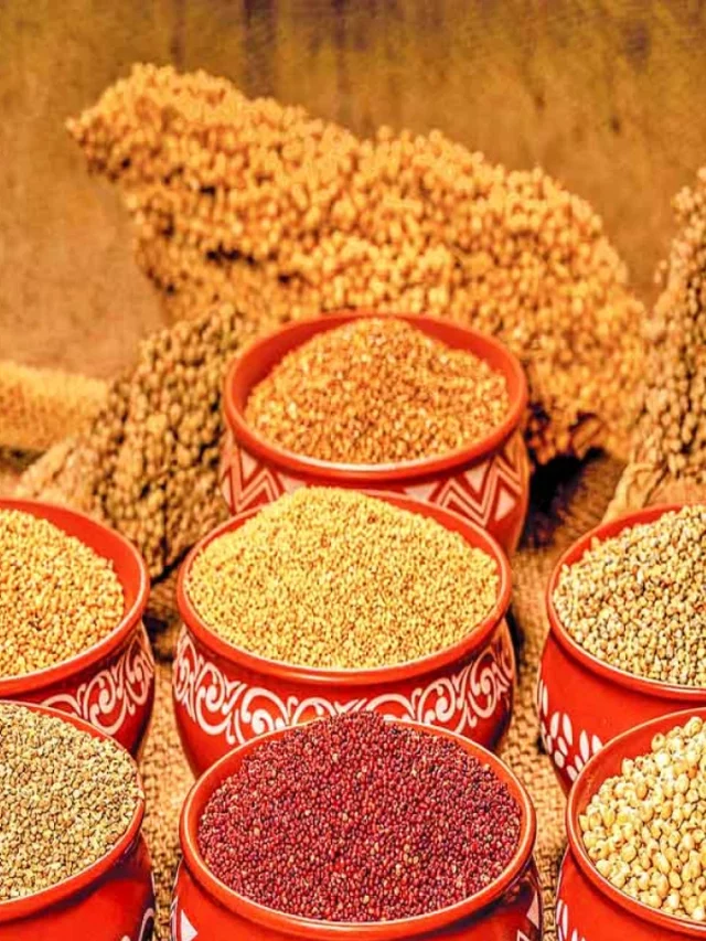6 Biggest Millet Producing States In India  2024